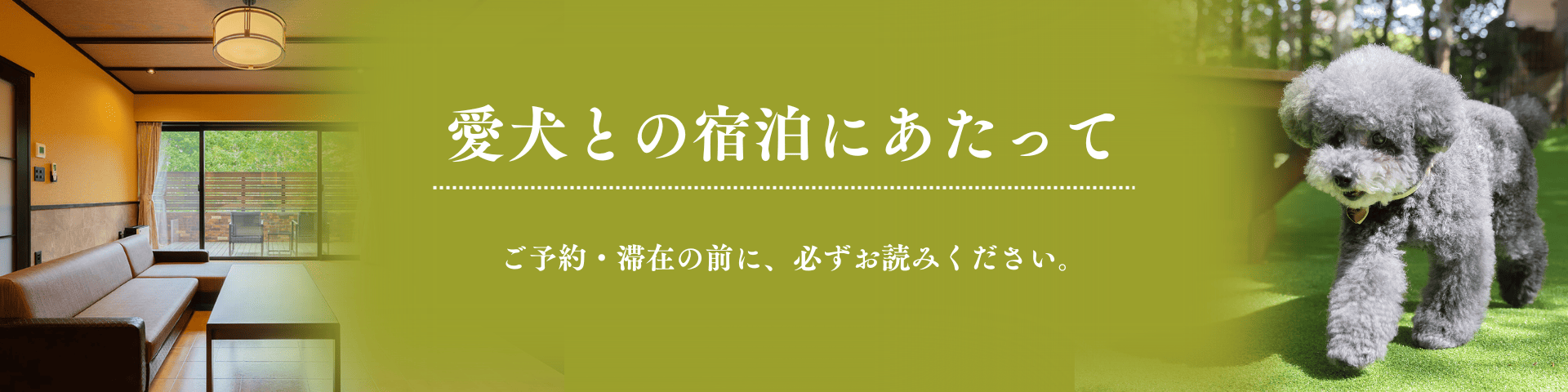 愛犬との宿泊にあたって